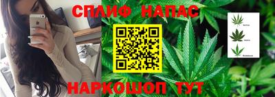 спиды Будённовск