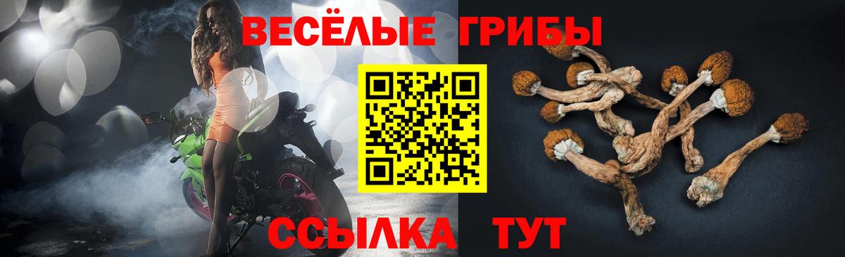 Галлюциногенные грибы GOLDEN TEACHER  Вход с VPN  Псилоцибиновые грибы Cubensis  Тулун 