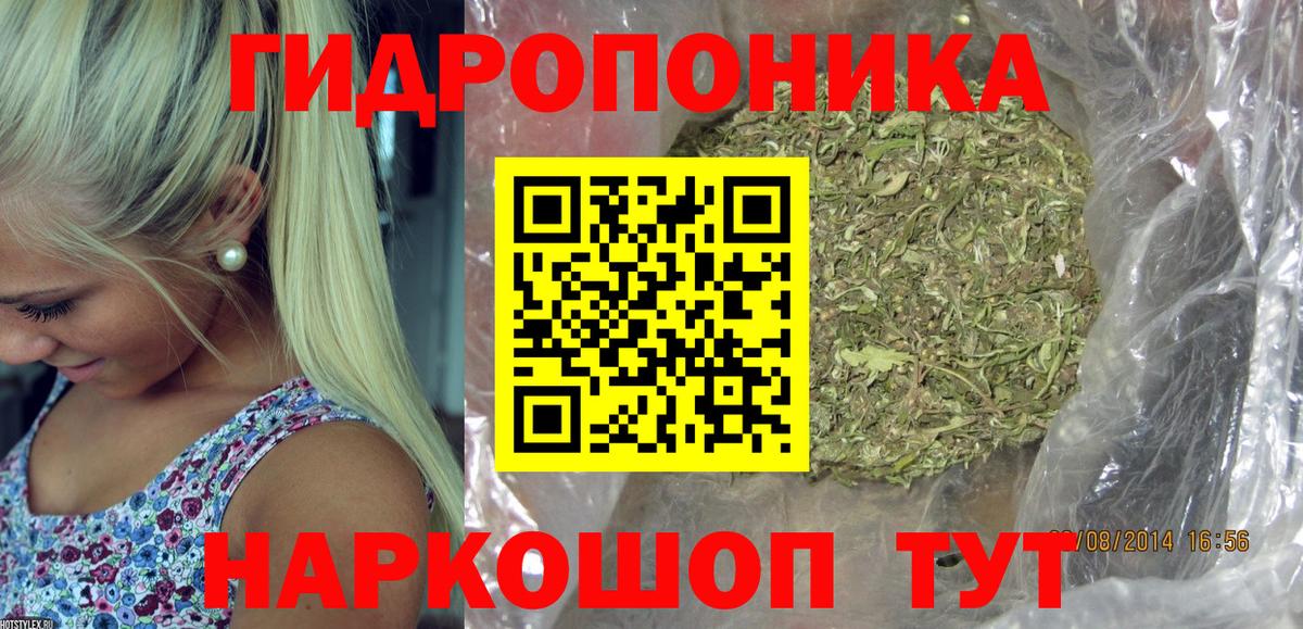 Бошки Шишки VHQ  Вход с VPN  Марихуана конопля  Шишки марихуана тримм  Конопля индика  Тулун 